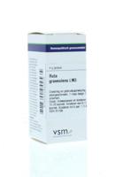 VSM Ruta graveolens LM3 4 Gram