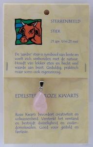 Sterrenbeeldsteen hanger stier