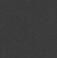 Dutch Wallcoverings Sauvage Uni - Zwart