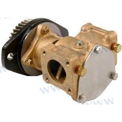 DJC0819 - CUMMINS WATERPOMP