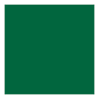 Creativ Company Linoleum verf - groen, 250ml