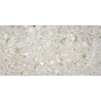 Stone Mist 30x60 rett