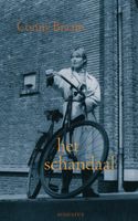 Het schandaal - Conny Braam - ebook - thumbnail