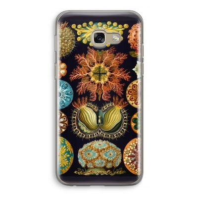 Haeckel Ascidiae: Samsung Galaxy A5 (2017) Transparant Hoesje