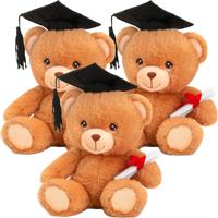 Pluche knuffel beer - 10x - geslaagd - diploma - bruin - 15 cm