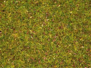 NOCH Scatter Grass “Flower Meadow” schaalmodel onderdeel en -accessoire Planten