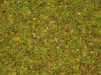 NOCH Scatter Grass “Flower Meadow” schaalmodel onderdeel en -accessoire Planten - thumbnail