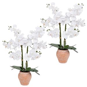 Orchidee bloemen kunstplant in sierlijke terracotta bloempot - 2x - witte bloemen - H65 cm