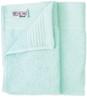 The One Towelling TH1020 Classic Guest Towel - Mint - 30 x 50 cm