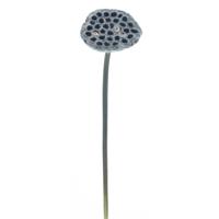 Single lotus pad spray bruin 63 cm kunsttak Buitengewoon de Boet - Buitengewoon de boet