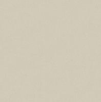 Dutch Wallcoverings Euphorie - Uni - Beige