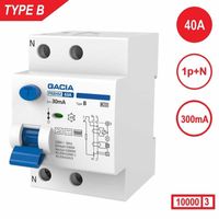 Aardlekschakelaar 1p+N 63A 300mA Type B 10 kA Gacia zonnepanelen en laadpalen 230V