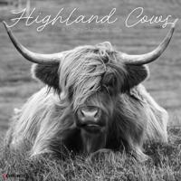 Schotse Hooglanders (Zwart/Wit) Kalender 2026