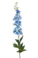 Delphinium spray RT lt blue 90 cm - Emerald