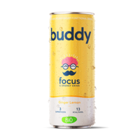 Buddy ginger lemon bio blikje (12x 250ml)