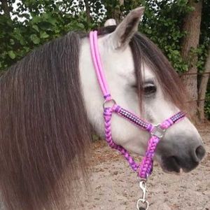 Pagony Deluxe Touwhalster roze maat:pony