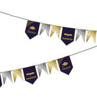 Folat Vlaggenlijn geslaagd - 6 meter - goud/zilver - papier - diploma examenfeest
