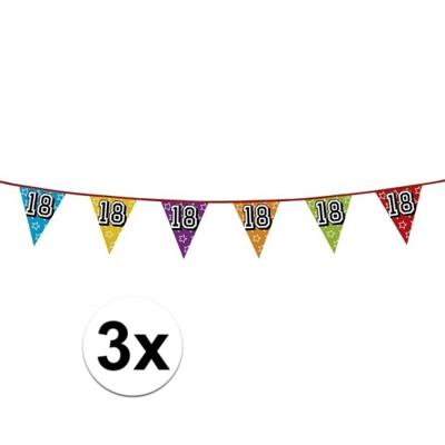 Boland Vlaggenlijn 18 jaar - 3x - multicolor - glitters - 8 meter - kunststof - vlaggetjes