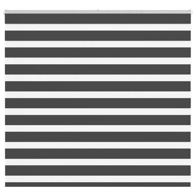 Zebra rolgordijn 165x100 cm stofbreedte 160,9 cm zwart
