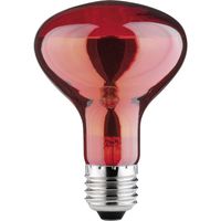 Paulmann Infraroodlamp E27 60 W (Ø x l) 80 mm x 115 mm 230 V 1 stuk(s) - thumbnail