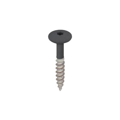 Torx schroef RVS 32 mm 100st Zwartgrijs - Keralit (2890)