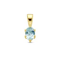 14K Geelgouden Hanger met Maart Geboortesteen - 13x4,5mm