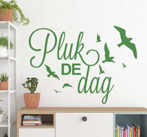 Motivatie sticker pluk de dag