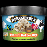 Ben & Jerry&apos;s Peanut Butter Cup 100ML bij Jumbo