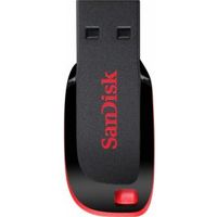 SanDisk Cruzer Blade 32GB USB Stick