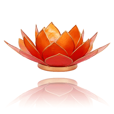 Lotus Sfeerlicht Roze-Oranje Tweekleurig
