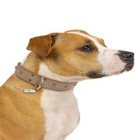 Jack and Vanilla Hondenhalsband - Leer - Grijs - 55 cm
