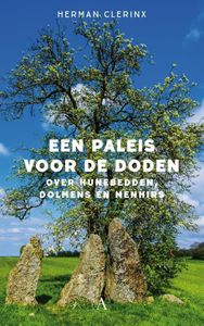 Een paleis voor de doden - Herman Clerinx - ebook