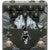 Old Blood Noise Endeavors Bathing Ink stereo delay