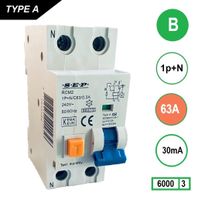 SEP Aardlekautomaat 63A B Kar 30mA 2 polig 36mm RCM2 Kema Keur 230V automaat en aardlek in een [CLONE]