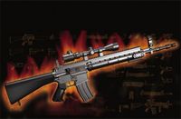 Trumpeter 1/3 AR15/M16/M4 FAMILY-MK.12 Mod o/1 SPR