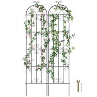 VEVOR Set van 2 Trellis Klimhulp Planten Trellis 51x220cm