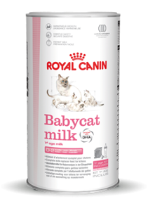 Royal Canin Babycat Milk droogvoer voor kat 300 g Katje