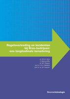 Regelovertreding en incidenten bij Brzo-bedrijven - M.H.A. Kluin, E. Wiering, M.P. Peeters, A.A.J. Blokland, W. Huisman - ebook - thumbnail