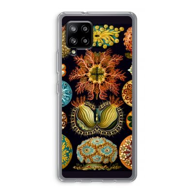 Haeckel Ascidiae: Samsung Galaxy A42 5G Transparant Hoesje
