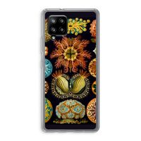 Haeckel Ascidiae: Samsung Galaxy A42 5G Transparant Hoesje