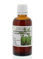 Natura Sanat Equisetum arvense / akkerpaardestaart tinctuur (50 ml)