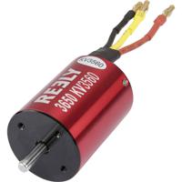 Reely Brushless elektromotor voor autos kV (rpm/volt): 3650 - thumbnail