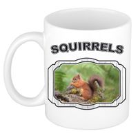Dieren eekhoorntje beker - squirrels/ eekhoorntjes mok wit 300 ml     - - thumbnail