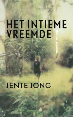 Het intieme vreemde (Paperback)