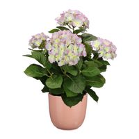 Hortensia kunstplant/kunstbloemen 45 cm - paars/groen - in pot roze glans - Kunstplanten - thumbnail