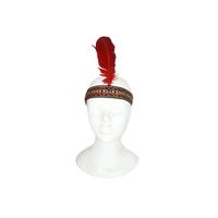 Indianen verkleed veren hoofdband voor volwassenen   -