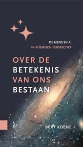 Over de betekenis van ons bestaan - Bert Koene - ebook