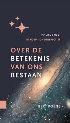 Over de betekenis van ons bestaan - Bert Koene - ebook