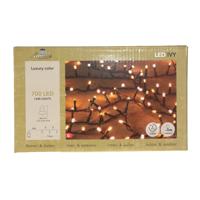 Kerstverlichting Ivy - 700 led lampjes - warm wit - 1600 cm - lichtsnoer