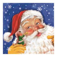 Daisy kerst thema servetten - 20x st - 33 x 33 cm - kerstman   - - thumbnail
